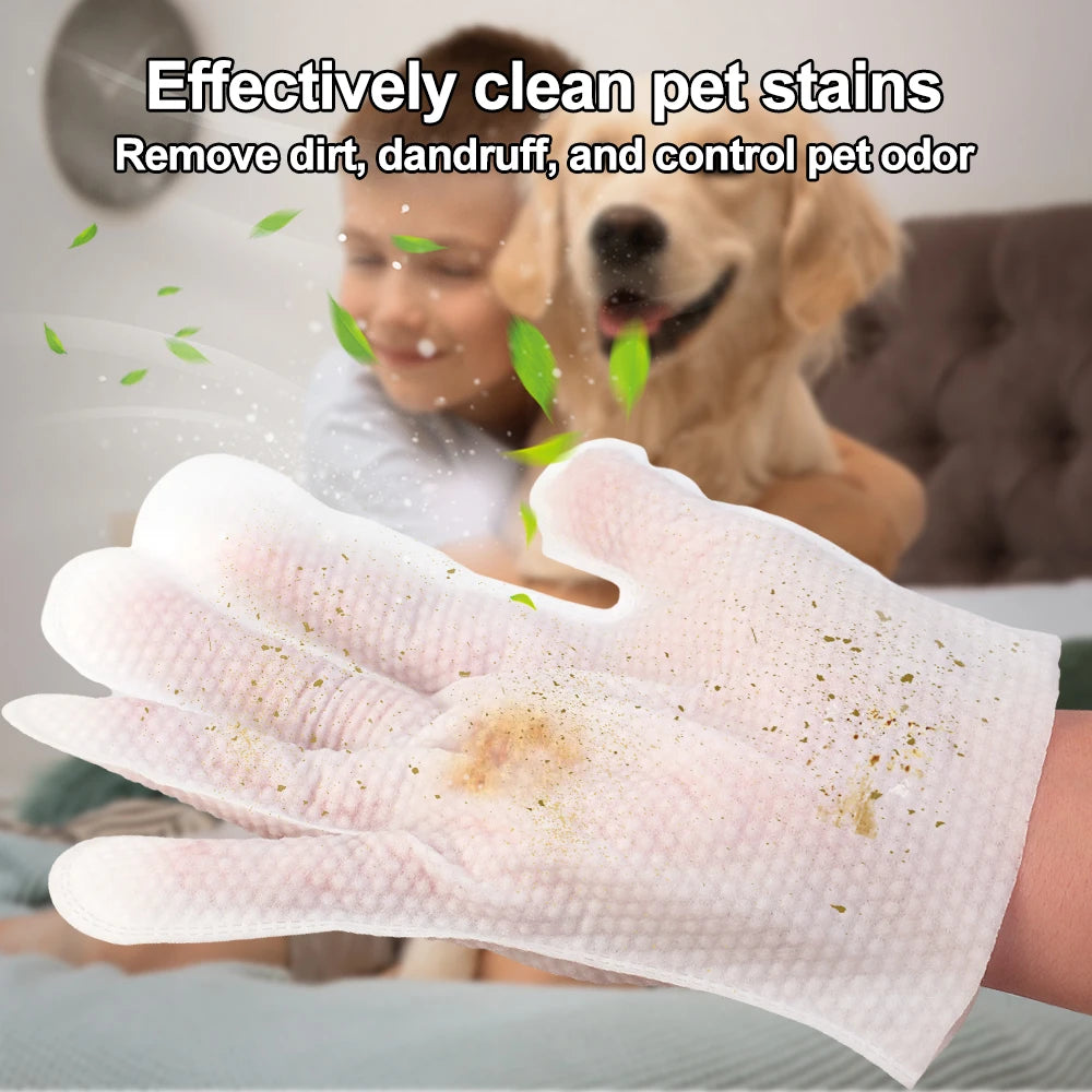 30/6PCS Cat Dog Disposable Glove Towels Pet Wash Free Glove No Rinse Washing Gloves Towels Deodorizing Dry Cleaning Wet Towels